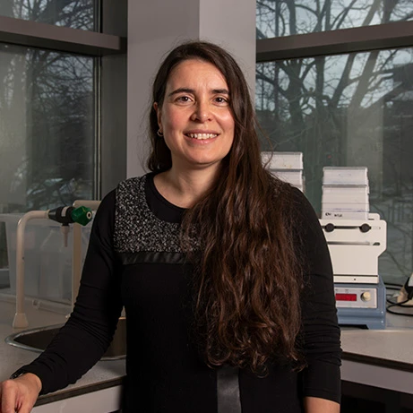 Chromatin and Gene Transcription in Hypoxia logo