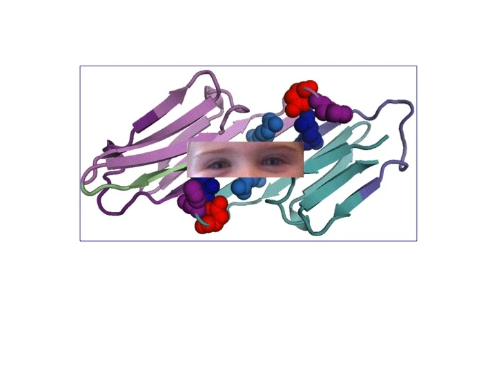 An Eye for Stress logo