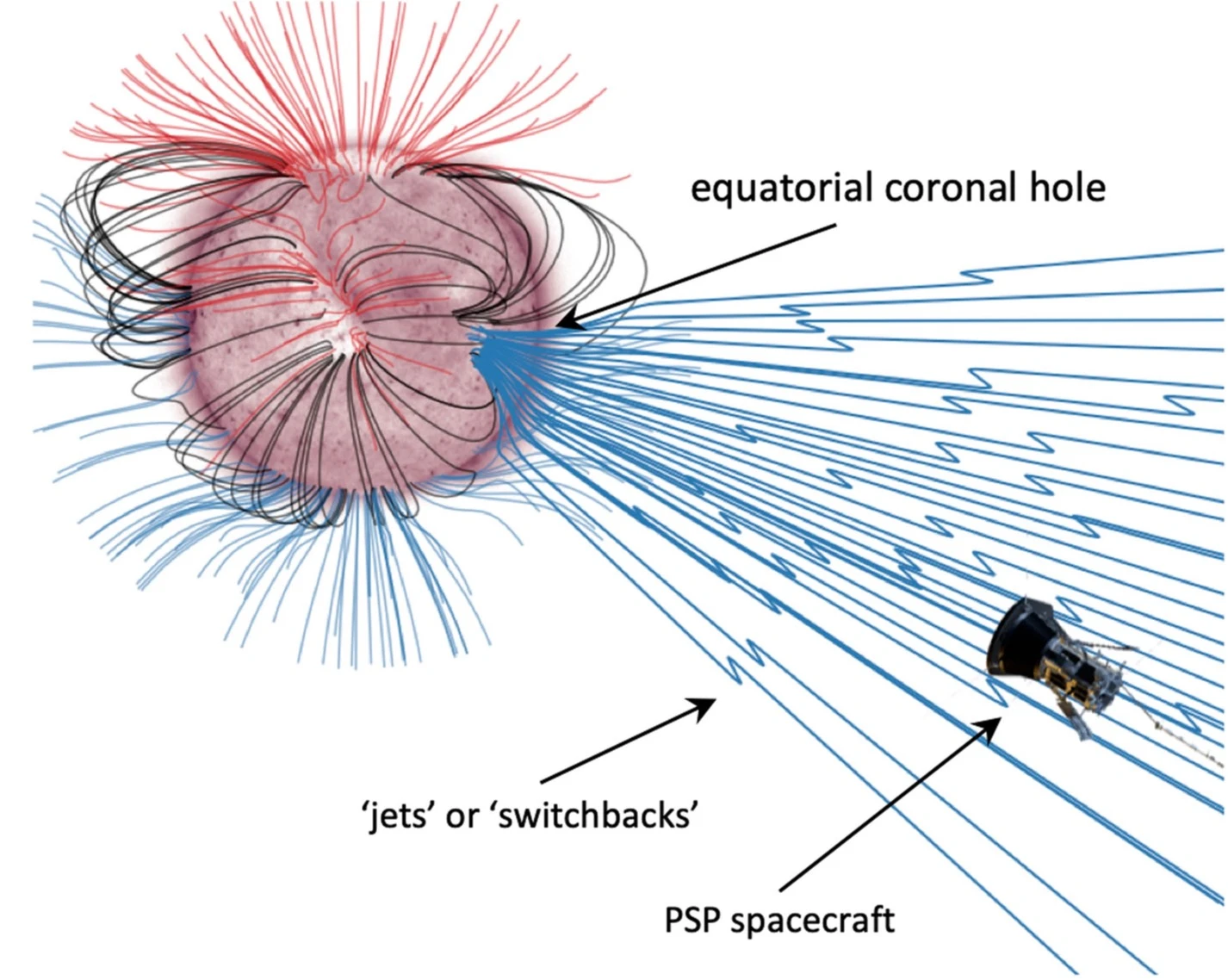 Magnetic field switchbacks and velocity spikes in the near-Sun solar wind: Parker Solar Probe first results and links to possible Solar sources logo