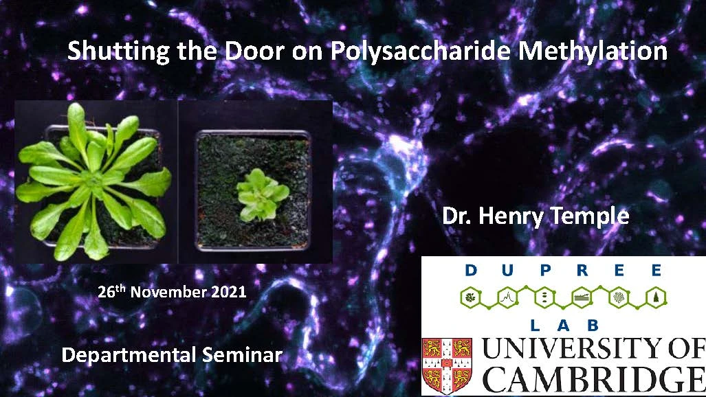 Biochemistry Friday Seminar - Dupree Group "Shutting the Door on Polysaccharide Methylation" logo