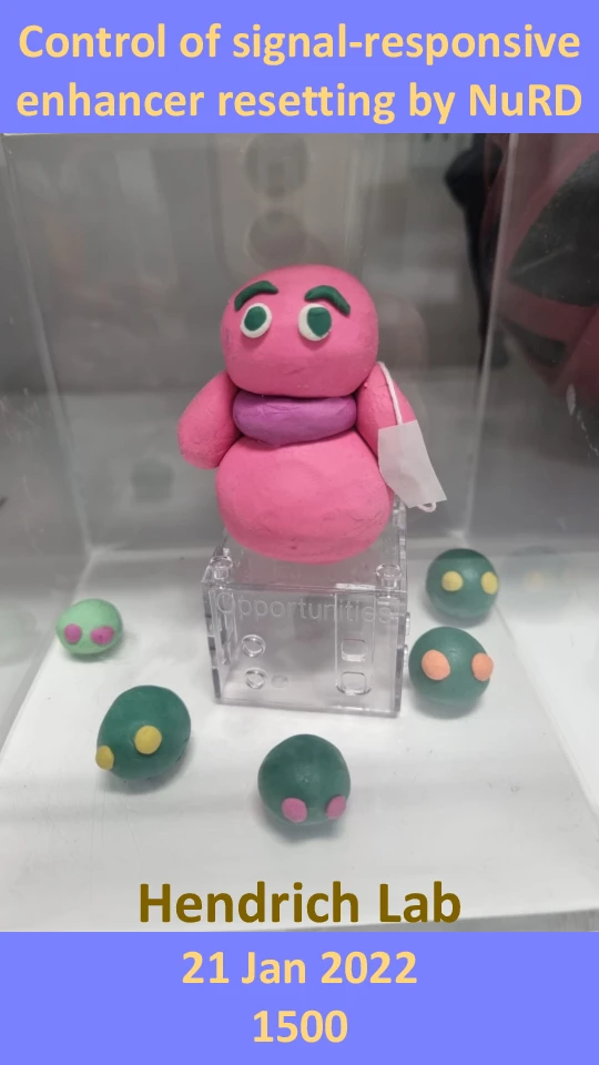 Biochemistry Friday Seminar-Hendrich Group "Control of signal-responsive enhancer resetting by NuRD" logo