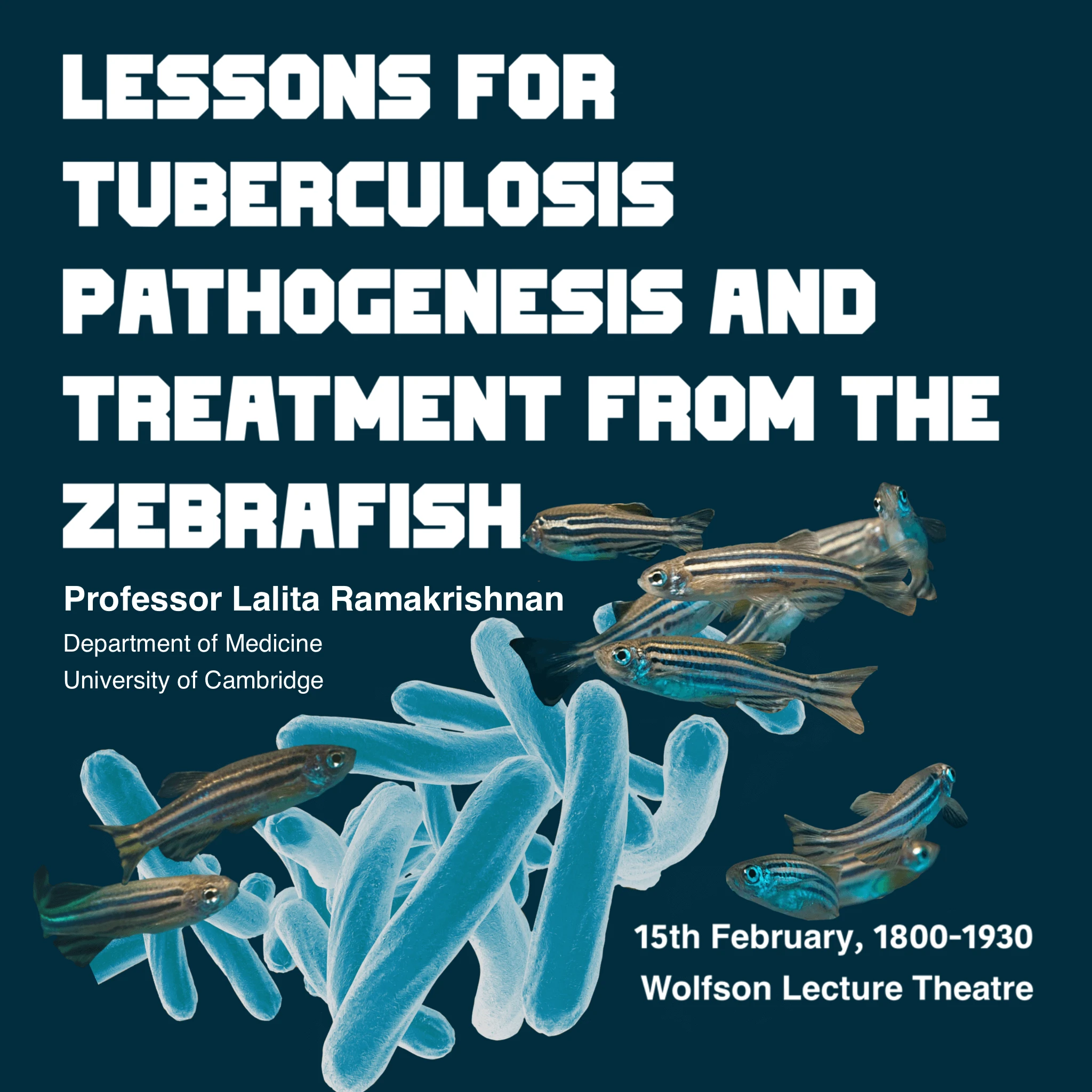 Lessons for Tuberculosis Pathogenesis and Treatment from the Zebrafish logo