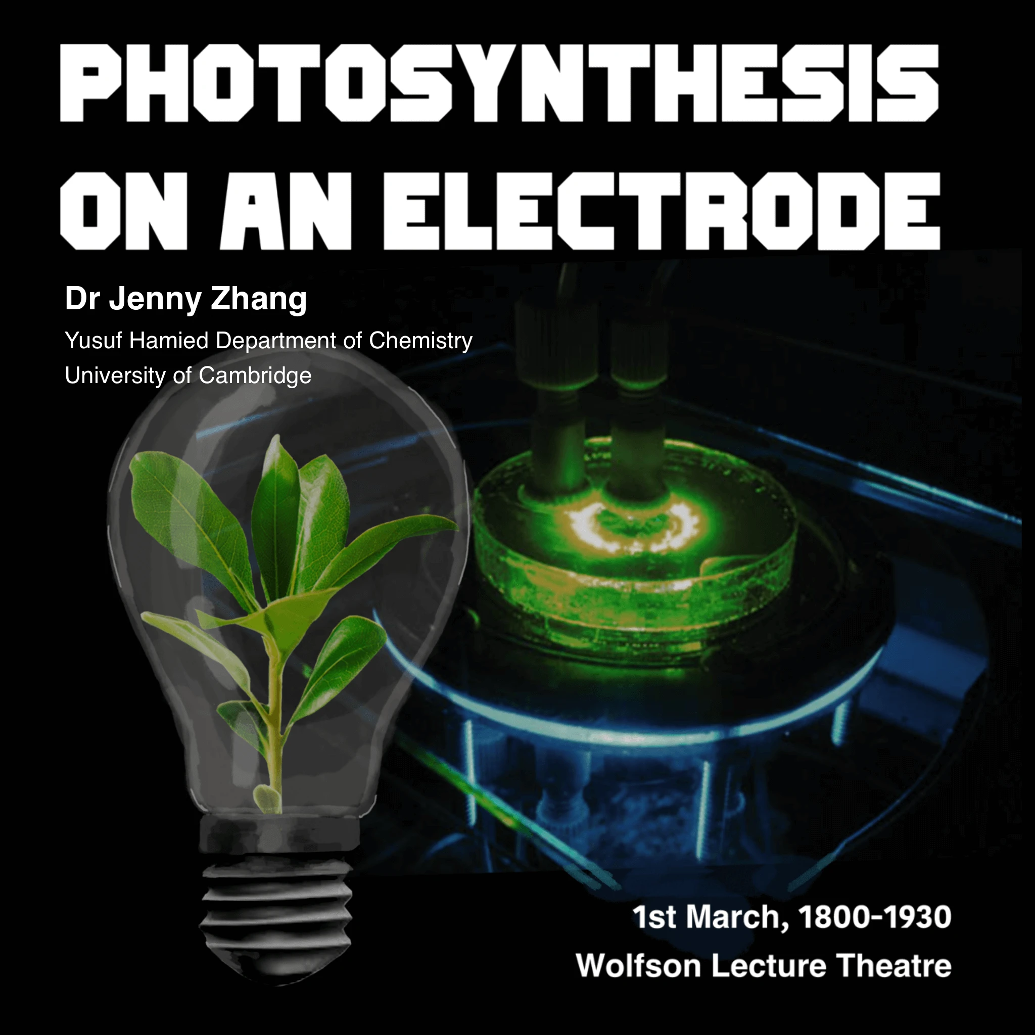 Photosynthesis on an electrode  logo