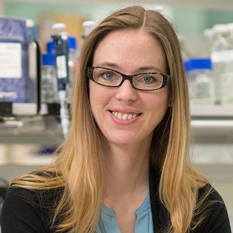 Exploring mechanisms of human brain expansion in cerebral organoids logo