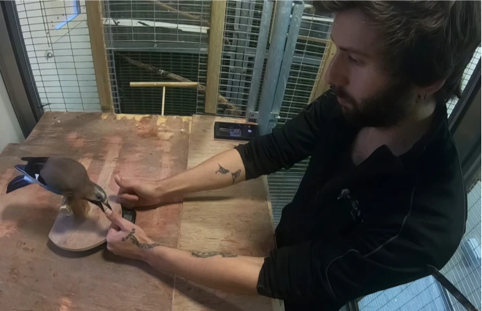 Using sleight of hand to investigate human action perception in diverse species and taxa logo