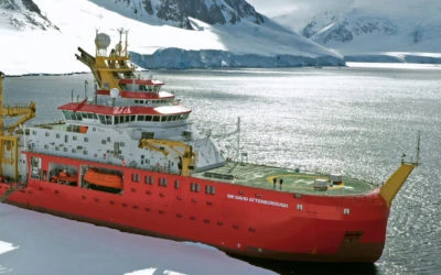 Towards Net Zero at the British Antarctic Survey logo