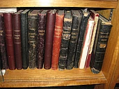 The Archives of Cambridge Natural History Society logo