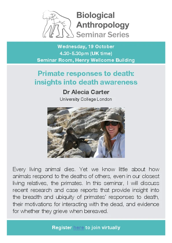 Primate responses to death: insights into death awareness logo