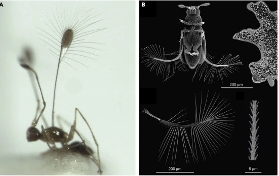 A Swiss Structures seminar from FlexLab  logo