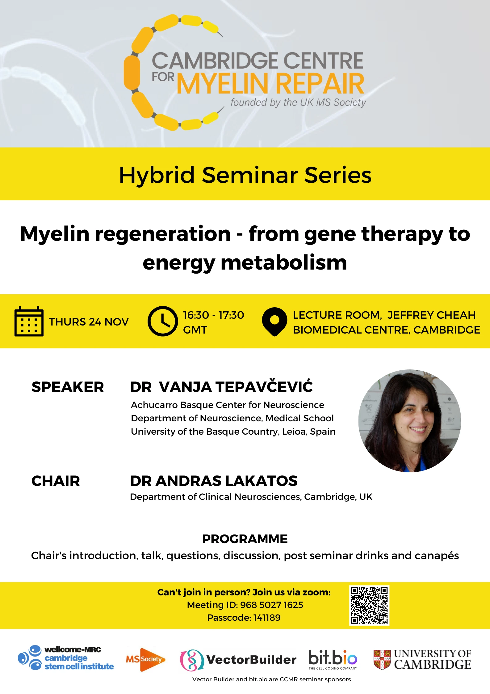Myelin regeneration - from gene therapy to energy metabolism logo