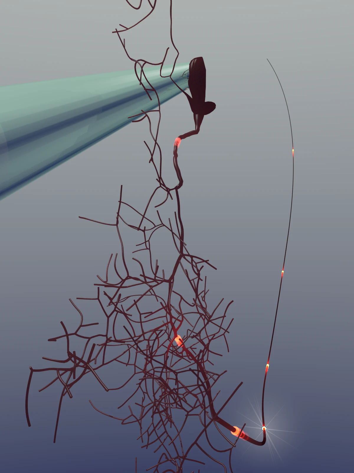 Connectome needs electrophysiology to determine function – computer simulations can help, too logo