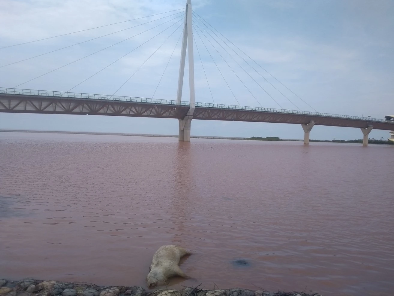 THIS SEMINAR WILL BE RESCHEDULED DUE TO UCU STRIKE ACTION When the future hits the ground: navigating logistical ruins on the Black Sea.  logo