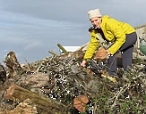 Cool as a caterpillar logo