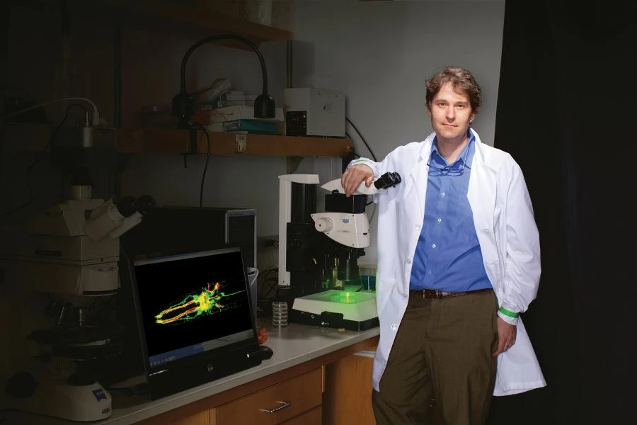 K2P channels in sensory transduction and neuromodulation logo