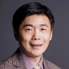 Low-dimensional and van der Waals Meta-photonics logo