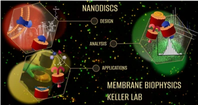 New Native Nanodiscs for Membrane-Protein Biophysics logo