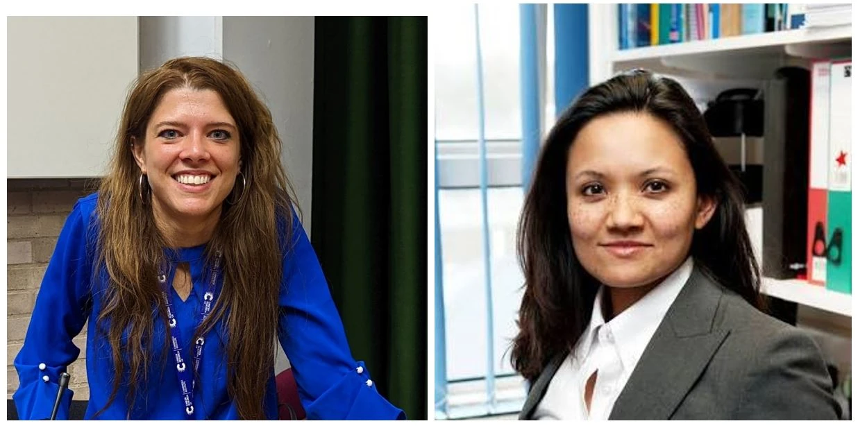 Pancreatic Cancer - The clinical challenge;   Why the microenvironment matters during progression and treatment logo