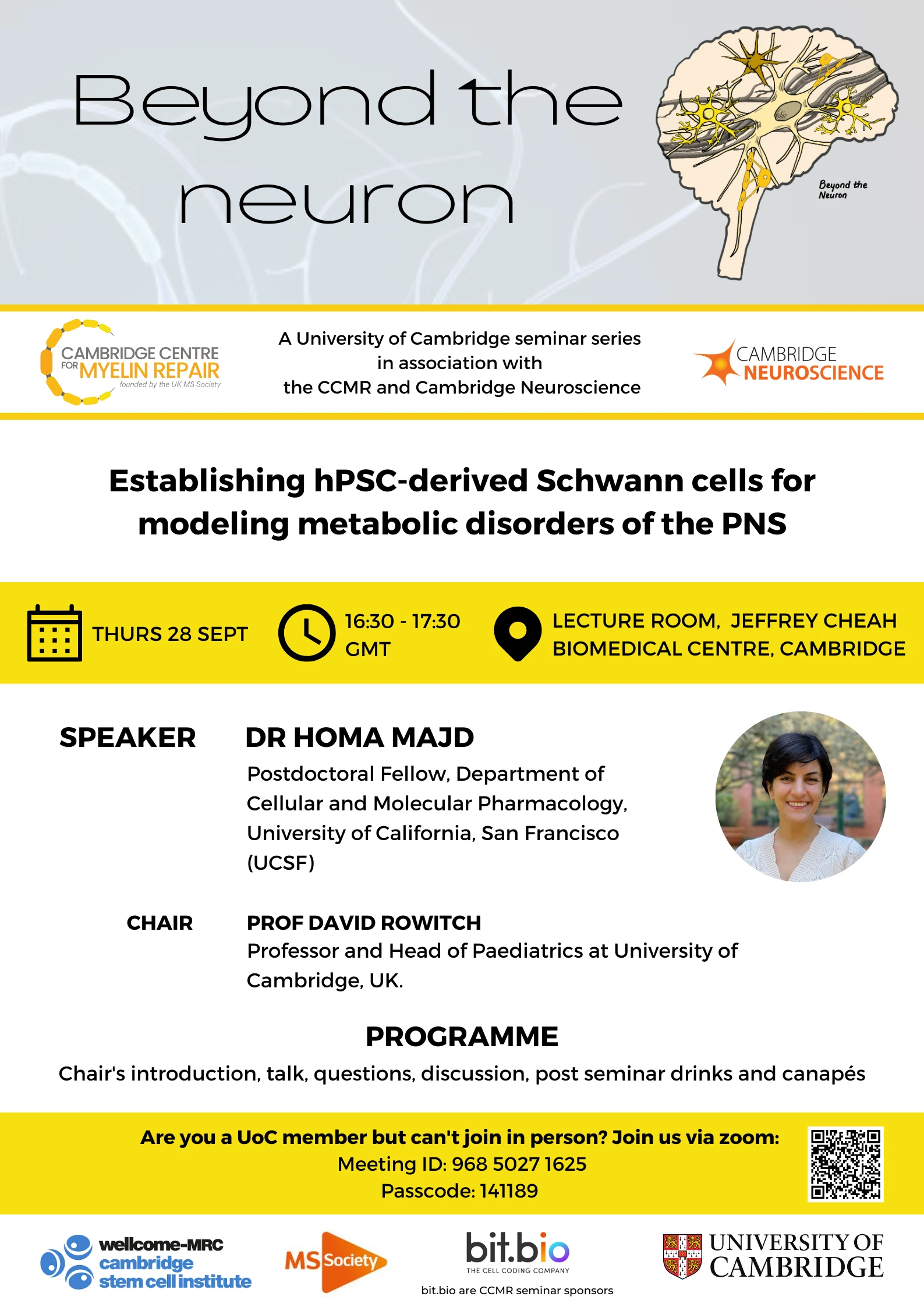 Establishing hPSC-derived Schwann cells for modeling metabolic disorders of the PNS logo