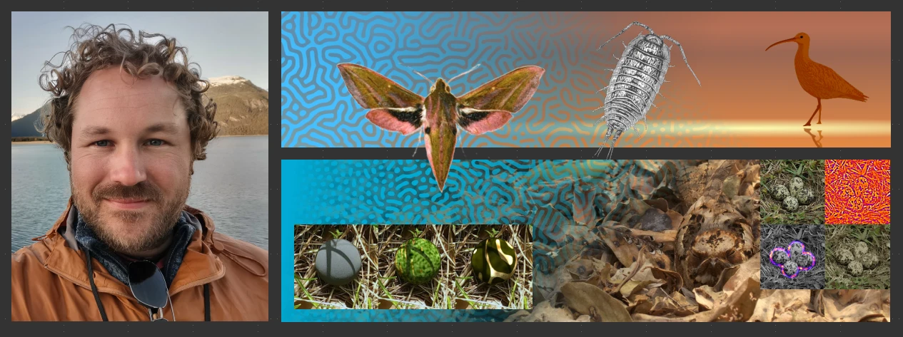 Exploring the role of lighting, pattern and habitat geometry on animal behaviour, evolution and conservation logo