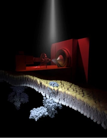 A new phase in structural biology logo