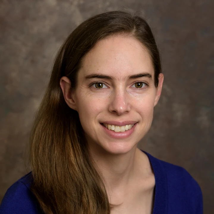 The rock record of fluid-flow, earthquakes, and creep in oceanic transform faults logo