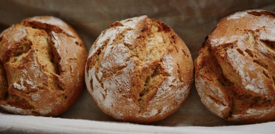 Breaking Bread: What's wrong with wheat?  logo