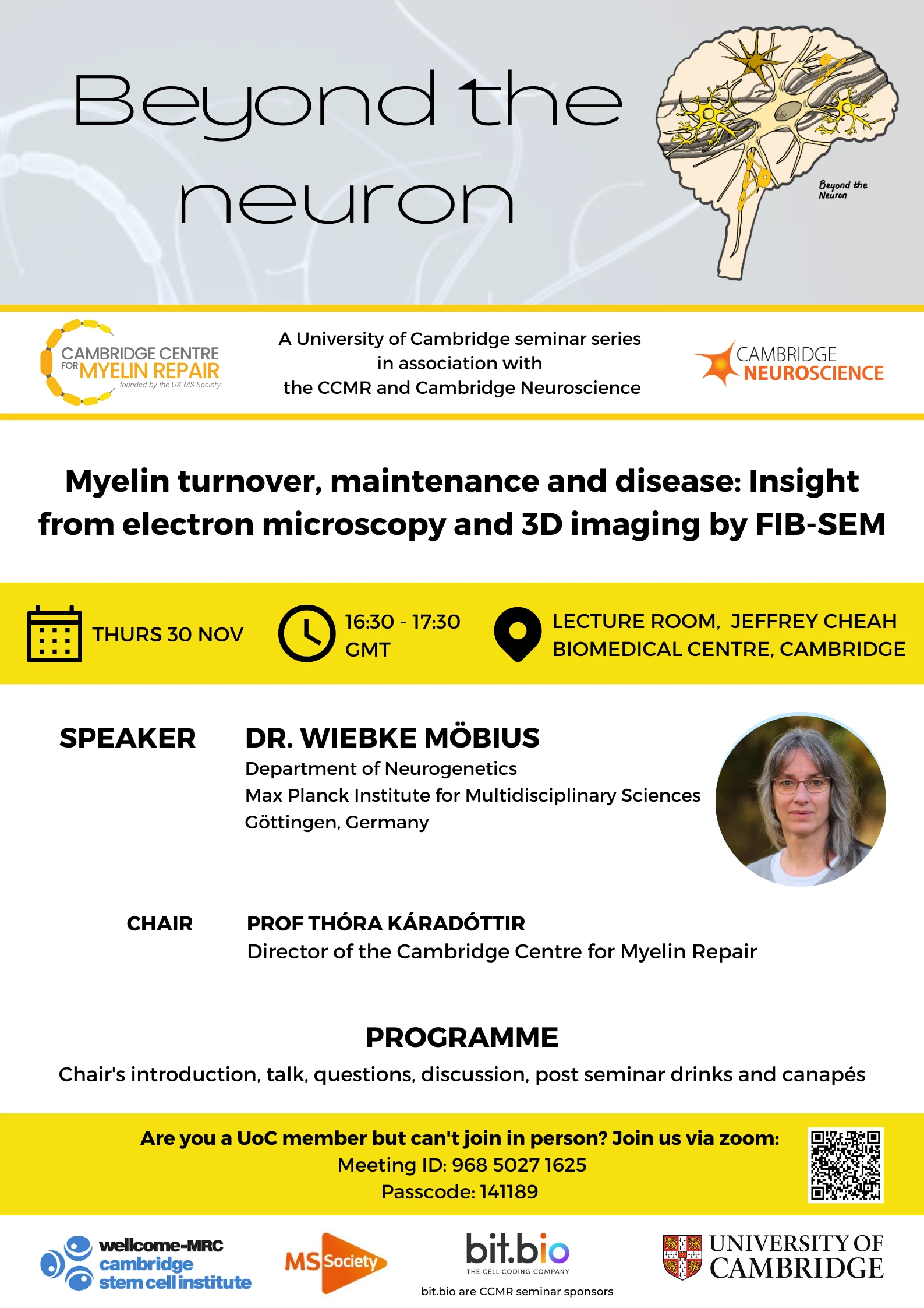 Myelin turnover, maintenance and disease: Insight from electron microscopy and 3D imaging by FIB-SEM logo