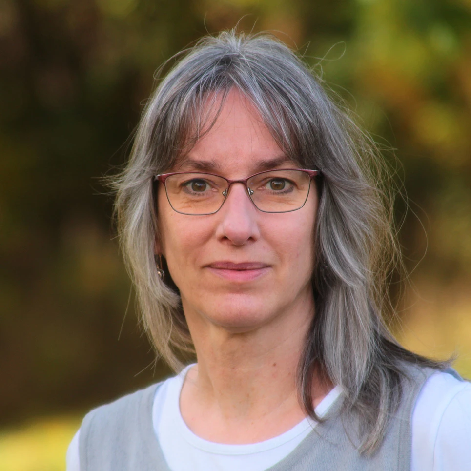 Myelin turnover, maintenance and disease: Insight from electron microscopy and 3D imaging by FIB-SEM logo