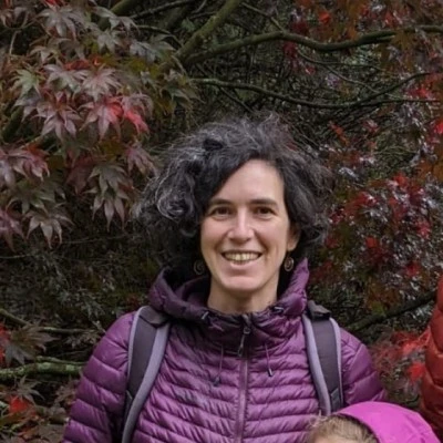 Electrostatic effects in nanoscale ferroelectrics logo