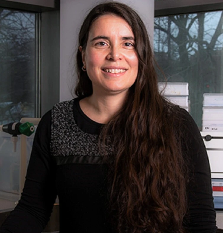 Mechanisms controlling gene expression in hypoxia and inflammation logo