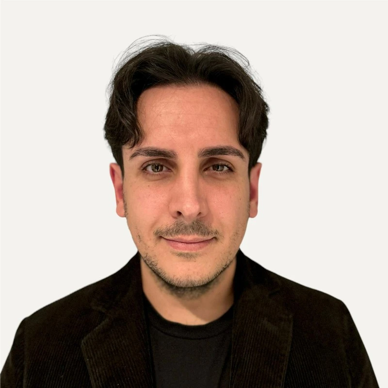 On the Assessment and Design of Compressed Structures logo