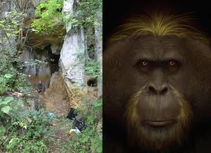 Palaeoecological Insights into the Causes and Consequences of Mid-Late Quaternary Megafauna Extinction in Asia and Australia logo