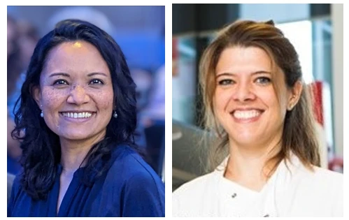 Pancreatic cancer - the clinical challenge;  Why the microenvironment matters during pancreatic cancer progression and treatment logo