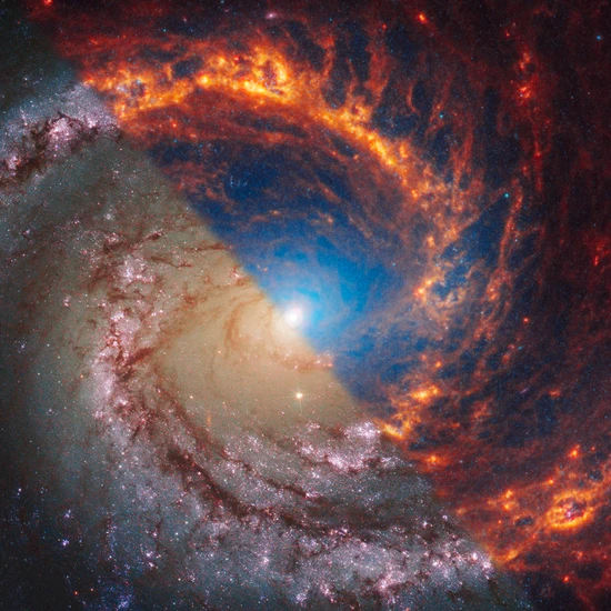 Galaxies Discussion Group logo