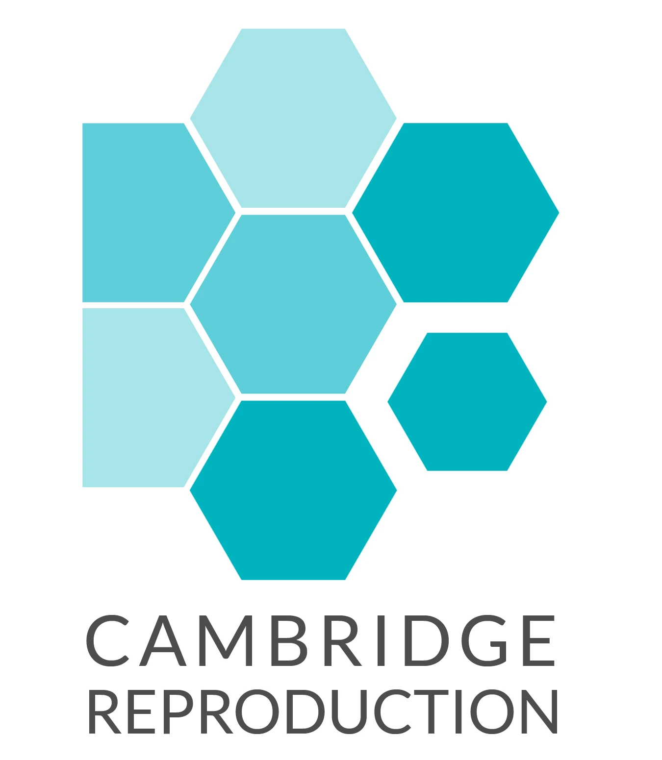 Cambridge Reproduction Forum - Creating Connections logo