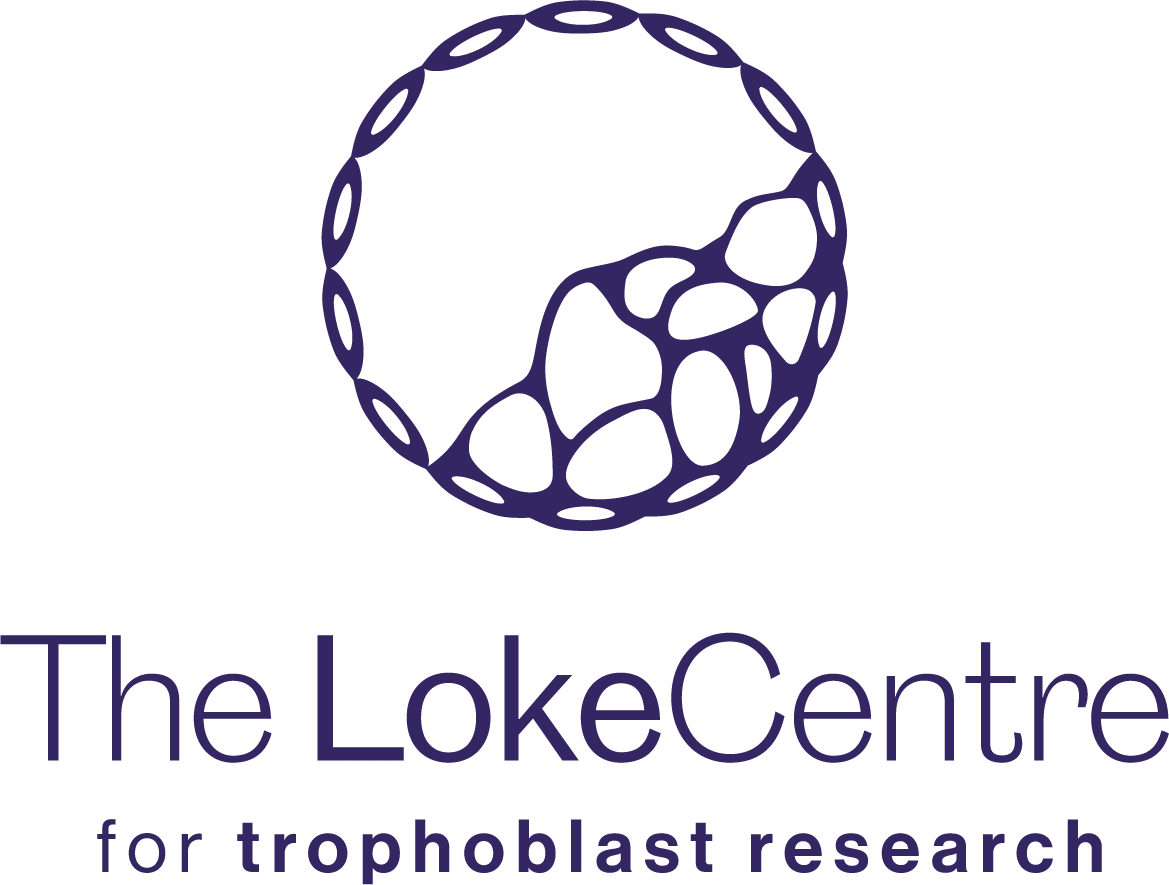 Endometrial regulation of human embryo implantation and placental development in health and disease? logo