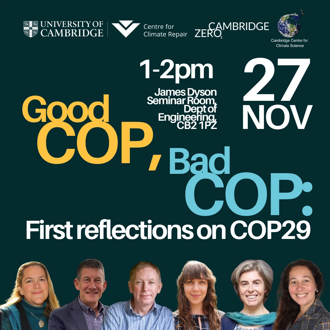 Good COP, bad COP: first reflections on COP29 logo