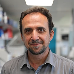 Role of cellular senescence in cancer and ageing: therapeutic opportunities logo