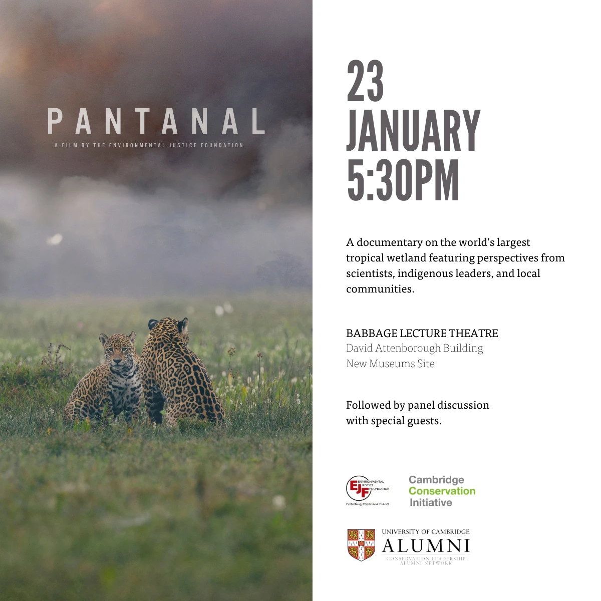 The screening of 'PANTANAL' - a powerful documentary exploring South America's largest tropical wetland logo