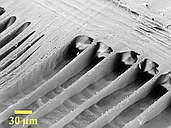 Natural Materials for Musical Instruments logo