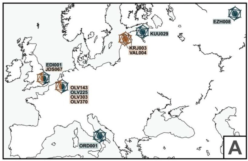 A telomeric tale: 2500 years of human betaherpesvirus evolution logo