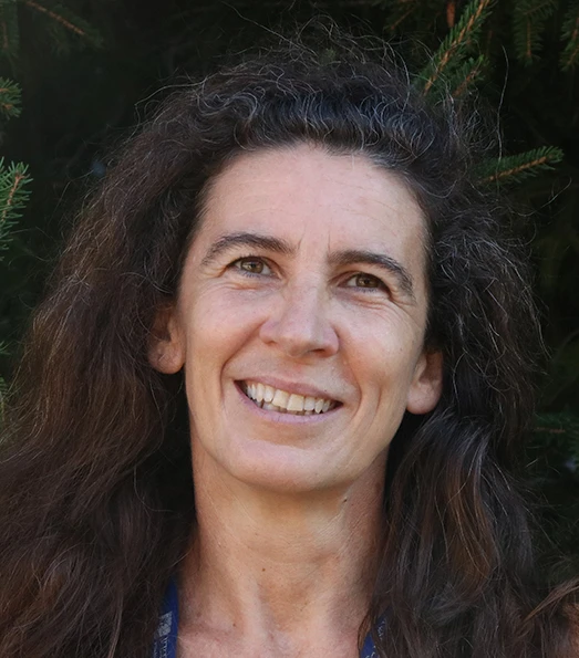 Deciphering EMT morphogenetic forces logo