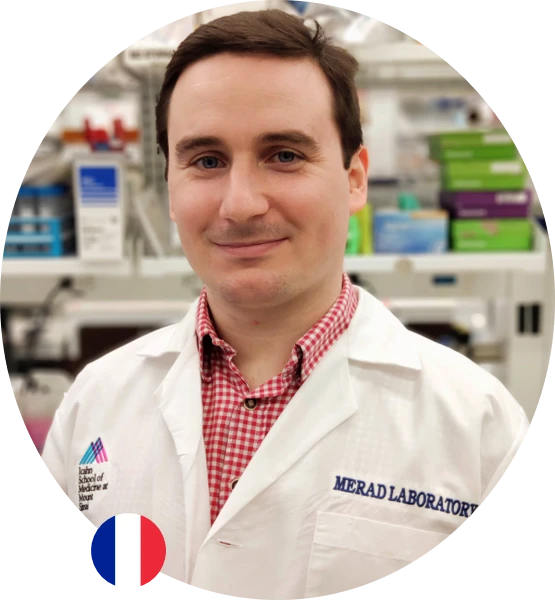 'Dendritic cells control the formation, maintenance, and function of tertiary lymphoid structures in cancer.'  Raphael Mattiuz, Mount Sinai logo