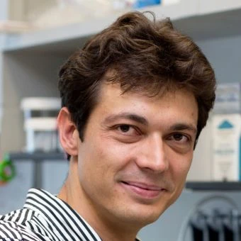 From nuclear swelling to chemoattractant production during tissue damage logo