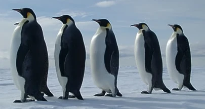 Penguin Group Events logo