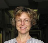 Plasmon-induced DNA damage? logo