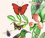 A Buzzing of Bees: Tales of Honeybees Through History logo