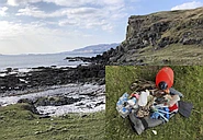 Plastics in the Environment logo