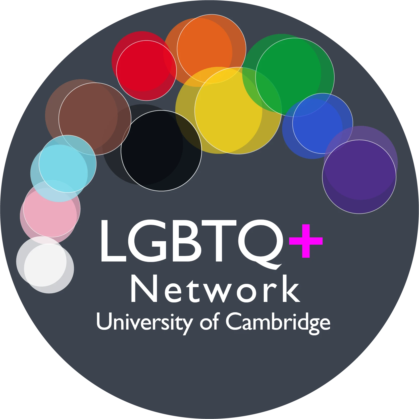 LGBTQ+ Network logo