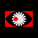 Bodily Autonomy in the AI Age Salon Series: Fighting Killer Robots logo